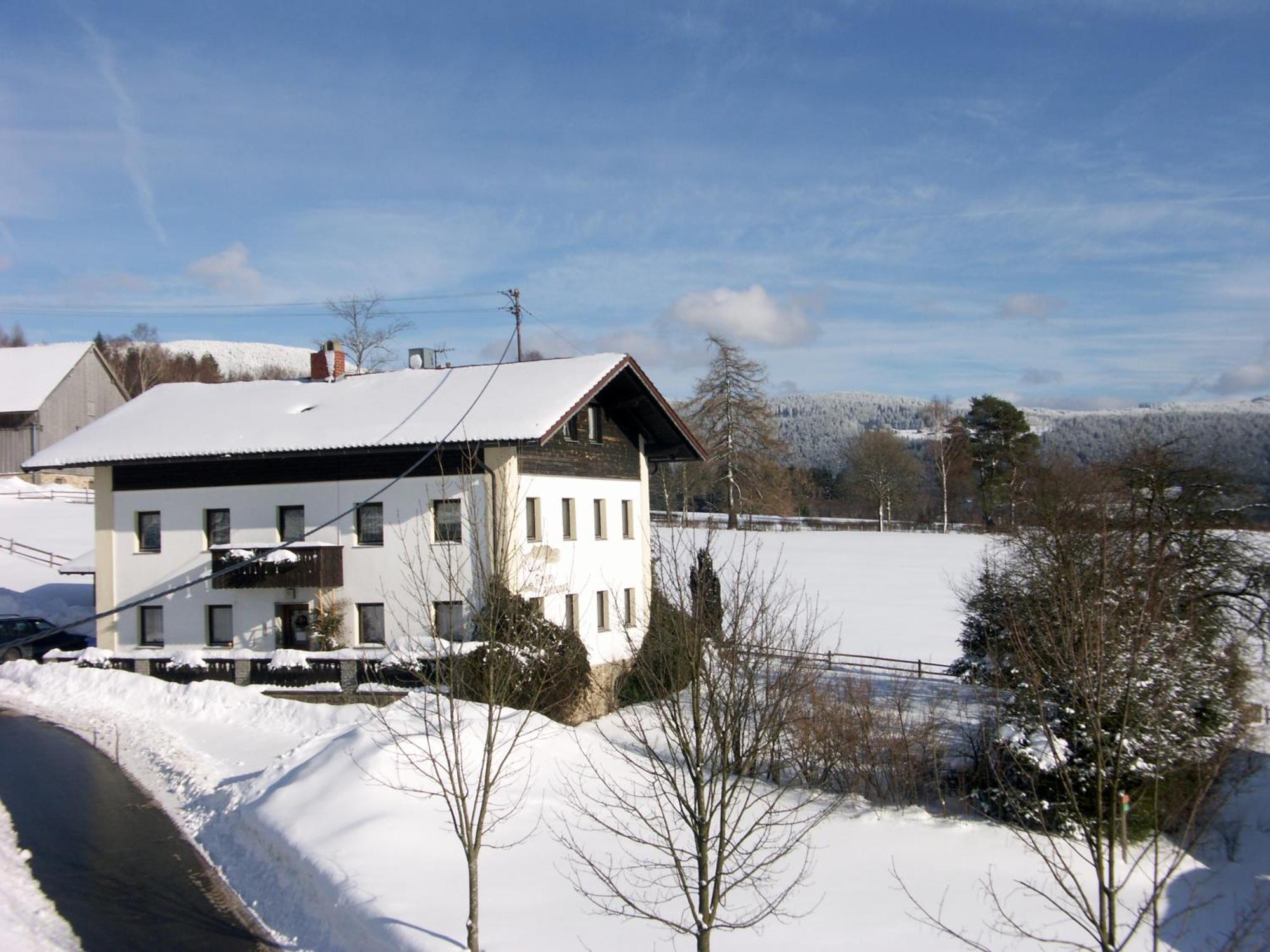 Ferienwohnungen Am Arber Lohberg Exterior foto