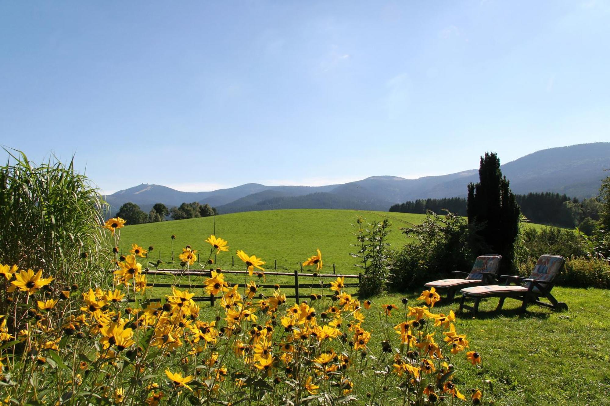 Ferienwohnungen Am Arber Lohberg Exterior foto